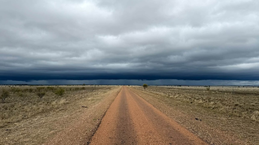 Showers for most of Queensland this week and potential severe storms